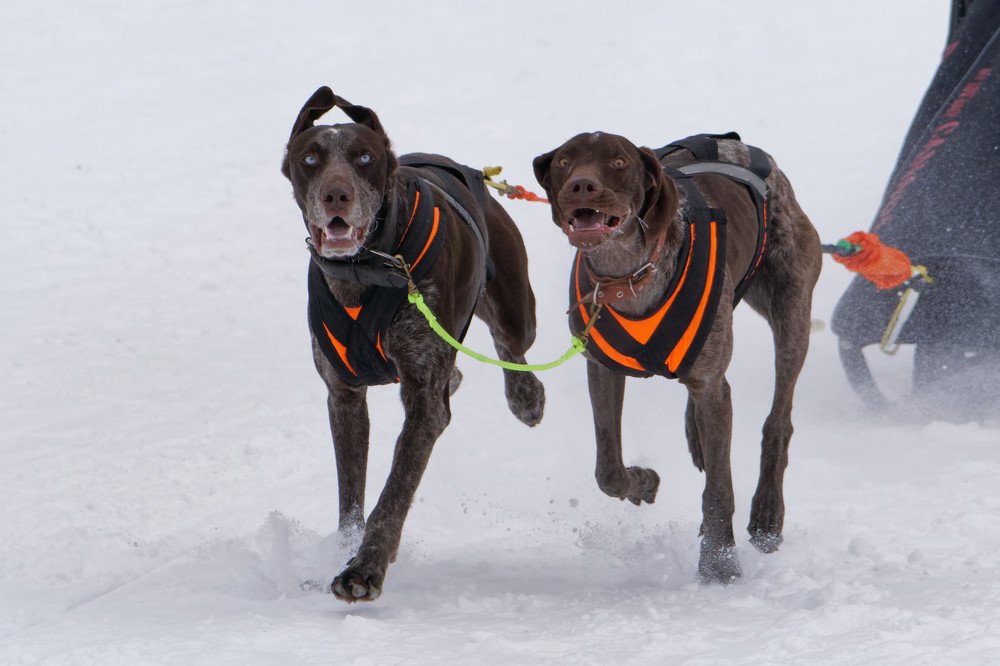 Photograph by Сергей Стукен