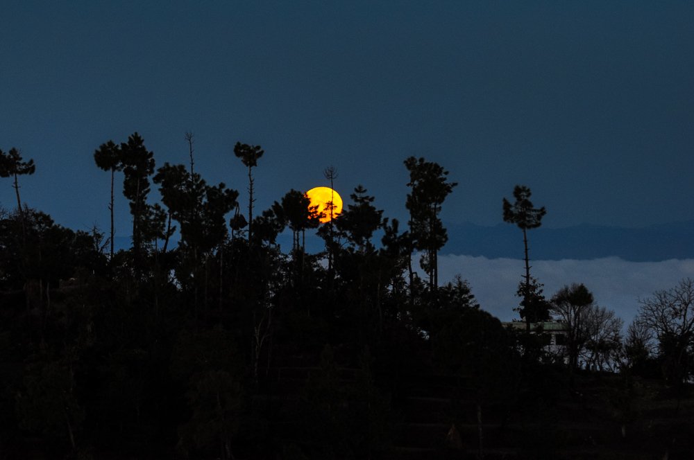 Moon Set