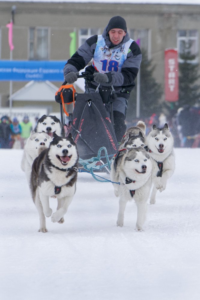 Photograph by Сергей Стукен