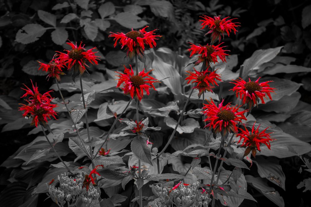 Photograph by Сергей Милицкий