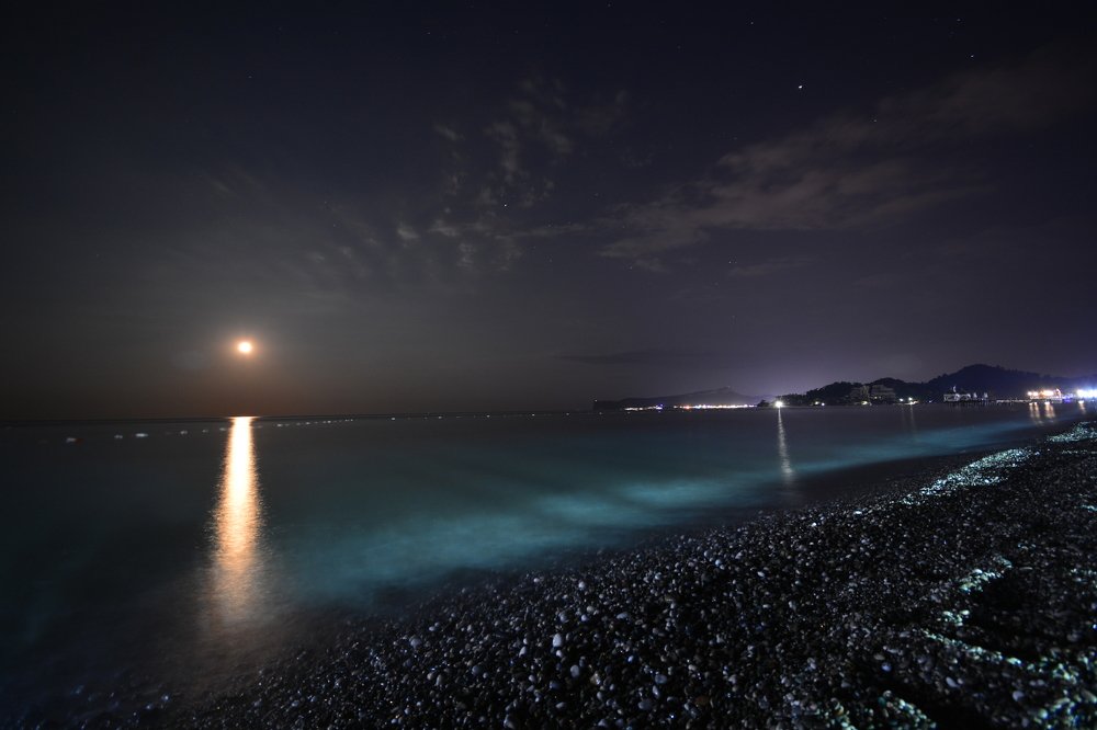 Photograph by Сергей Кривоносов