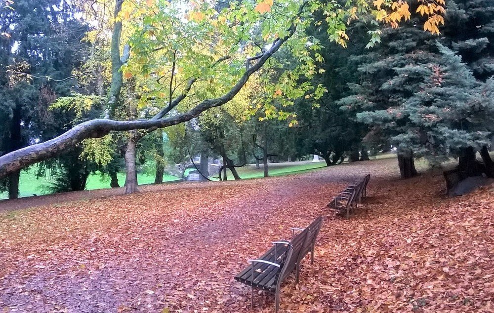 Photograph by Konochonkina