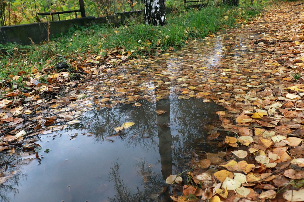 Photograph by Федоренко Элеонора