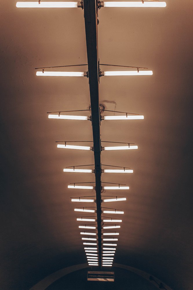 Photograph by Александра Леготина