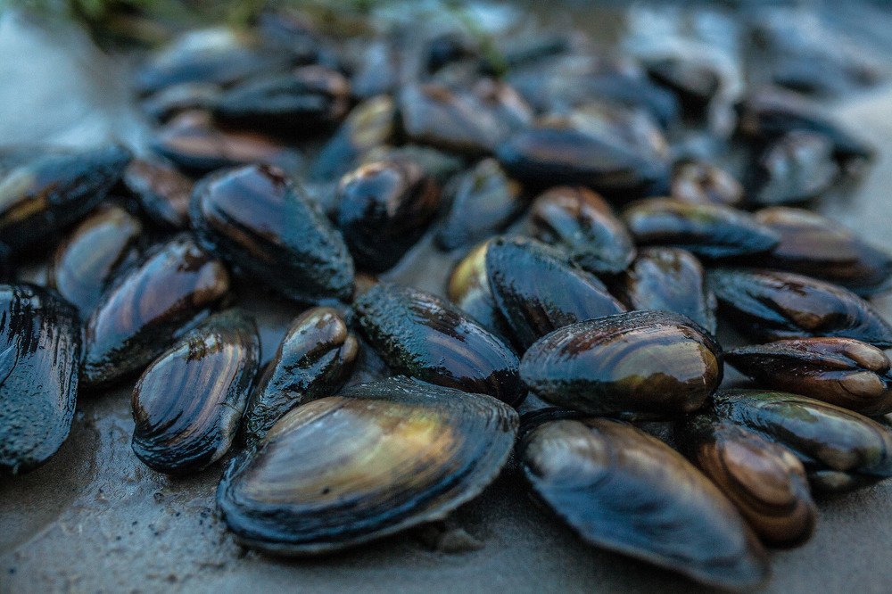 Photograph by Александра Леготина