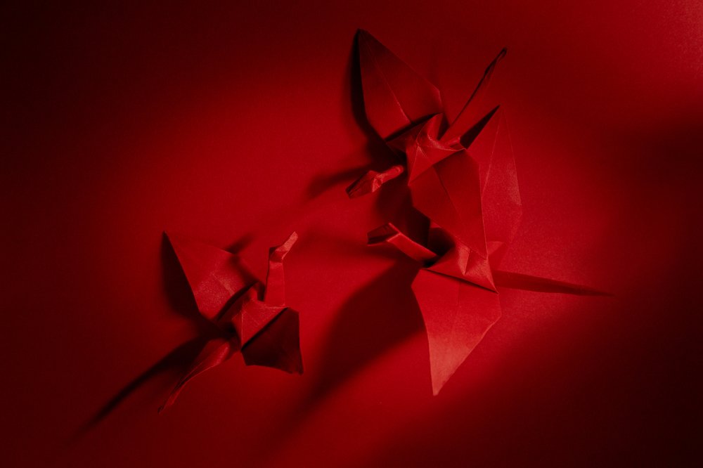 Photograph by Elena Mingazova