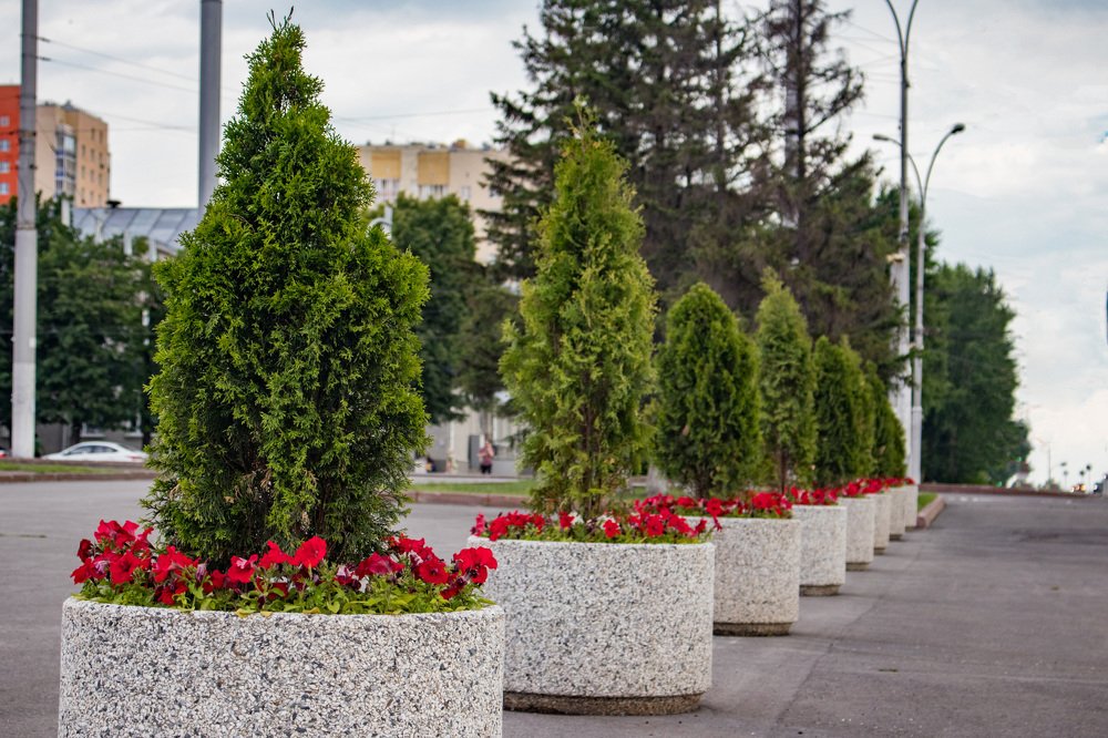 Photograph by Алексей Белоножко