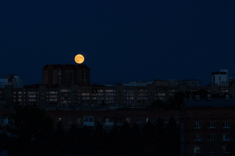 Photograph by Алексей Белоножко