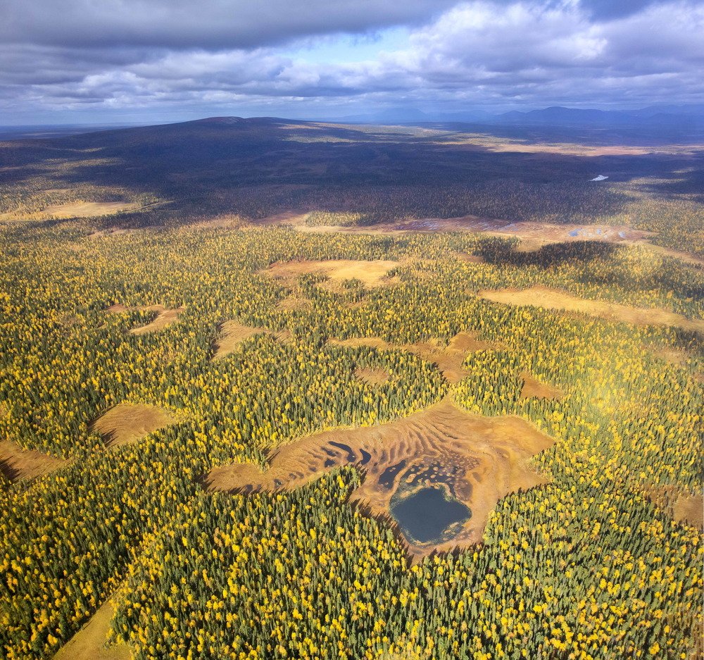 Photograph by Елена