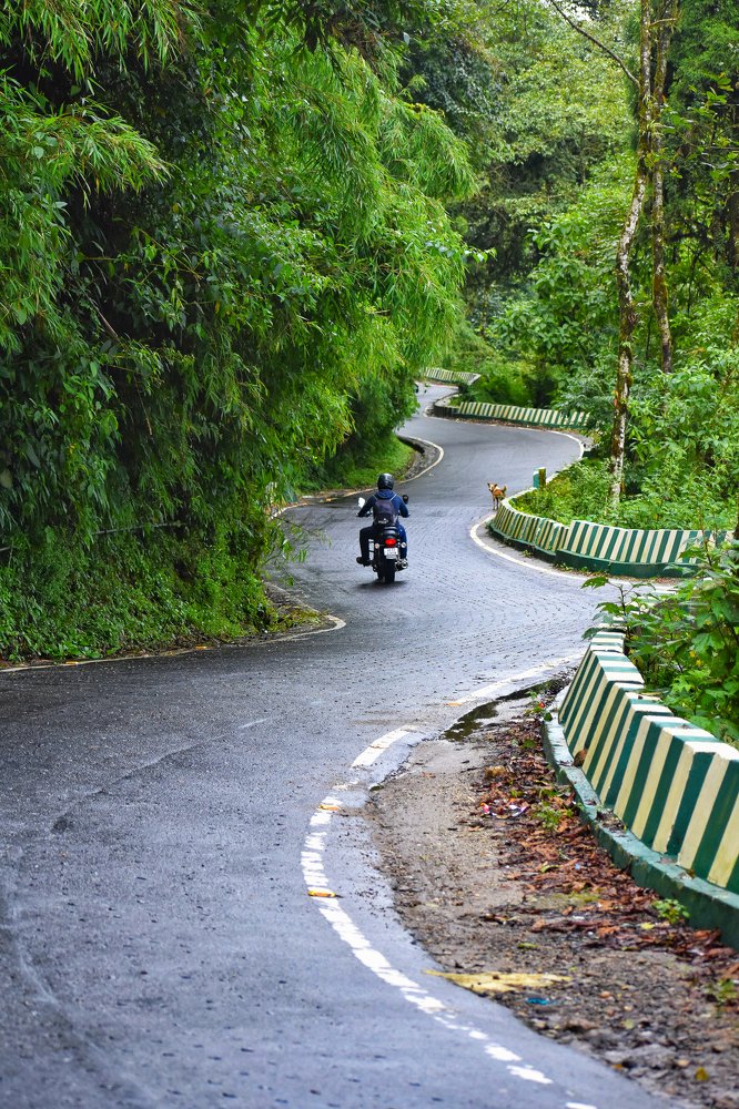 Photograph by Joy Karmakar