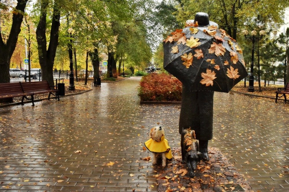 Photograph by Евгения Карпачева