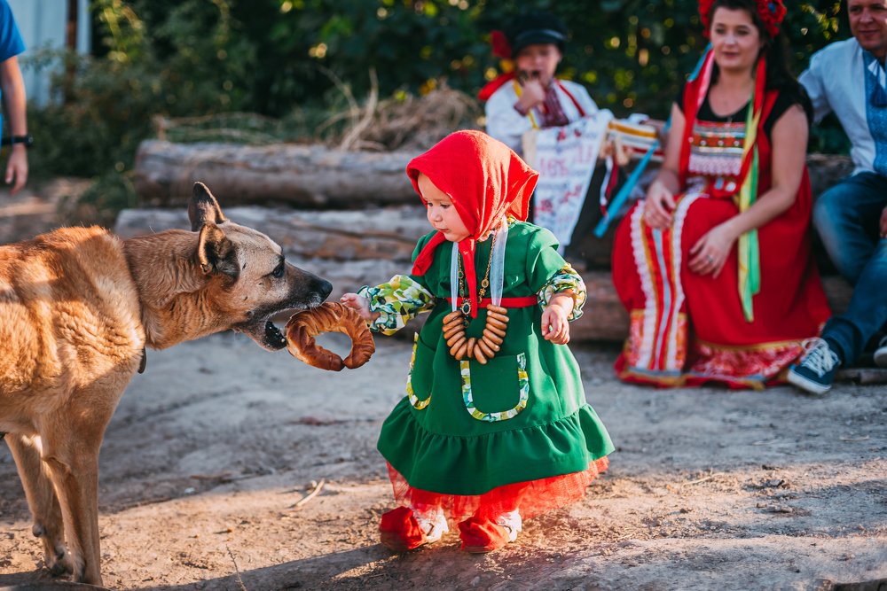 Фотография автора Дарья Шевченко