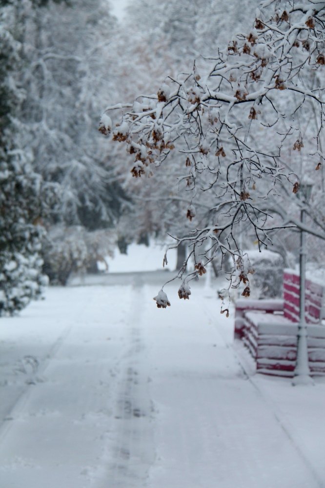 Photograph by Игорь Улитин