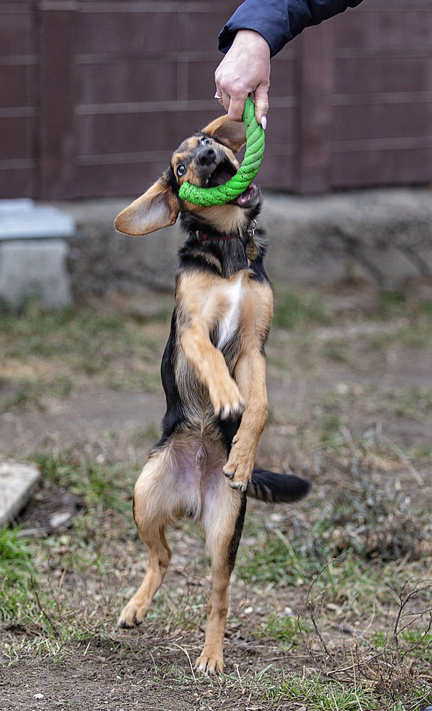 Photograph by Елена Дзюба