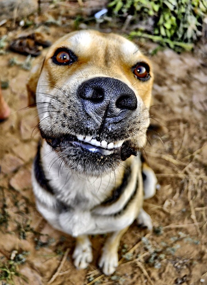 Photograph by Сергей Дружаев