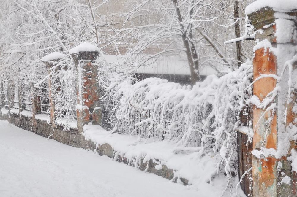 Photograph by Татьяна Вишнякова