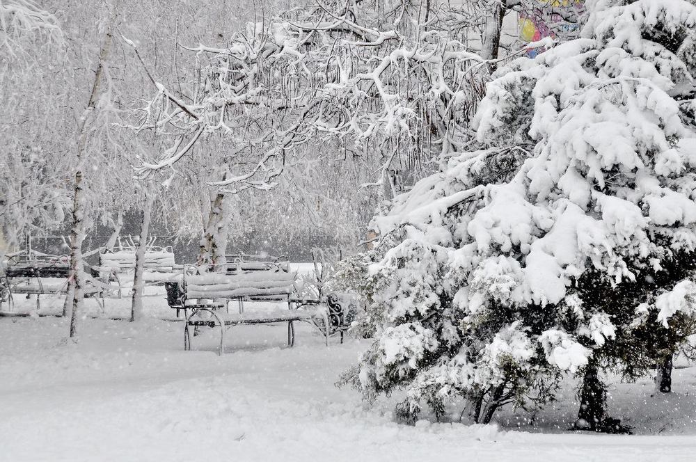 Photograph by Татьяна Вишнякова