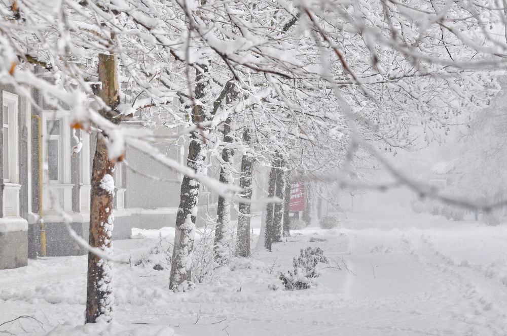 Photograph by Татьяна Вишнякова