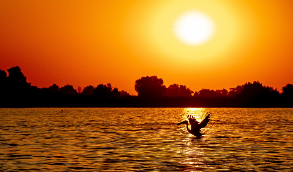 Photograph by Schirliu Alexandru