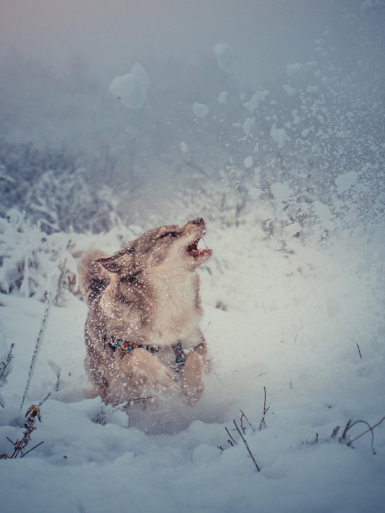 Photograph by Katarina Kissova