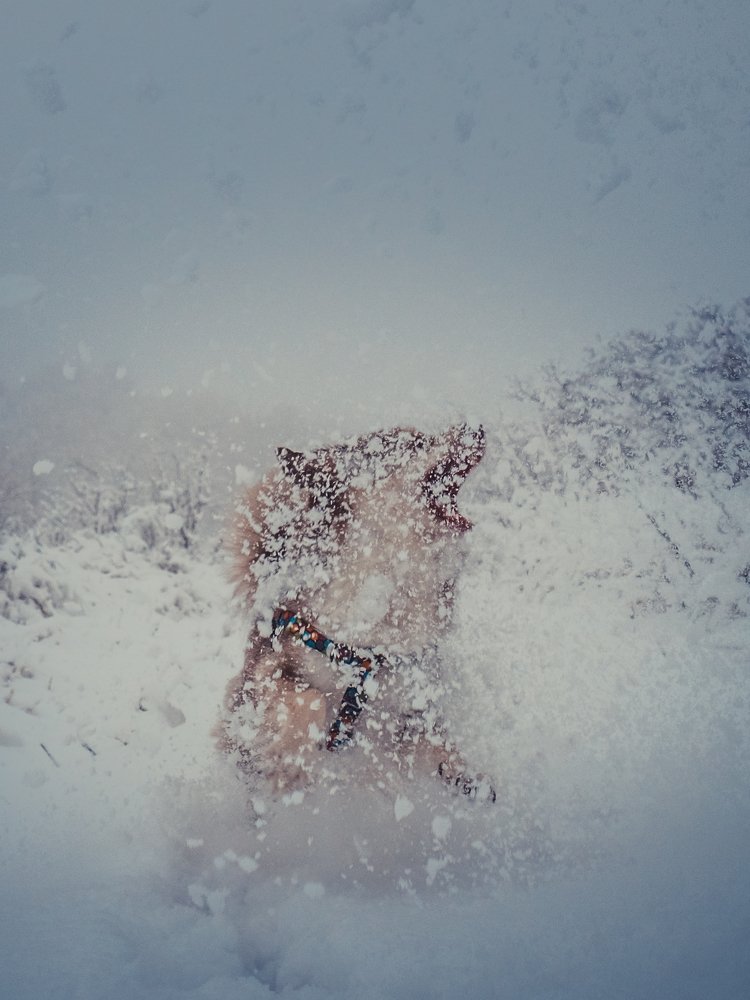 Photograph by Katarina Kissova