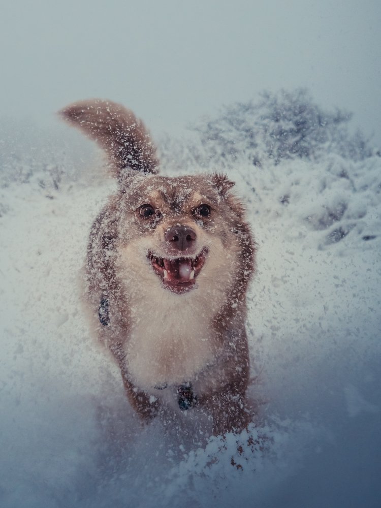 Photograph by Katarina Kissova