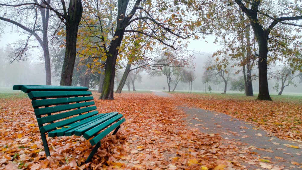 Photograph by Mykhailo Makarov