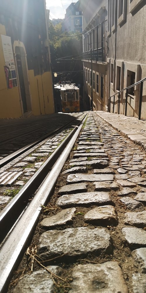 Photograph by Liliana Bogacinska