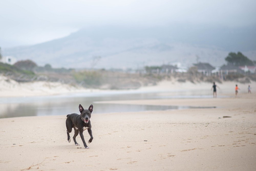 Photograph by Мария Власюк