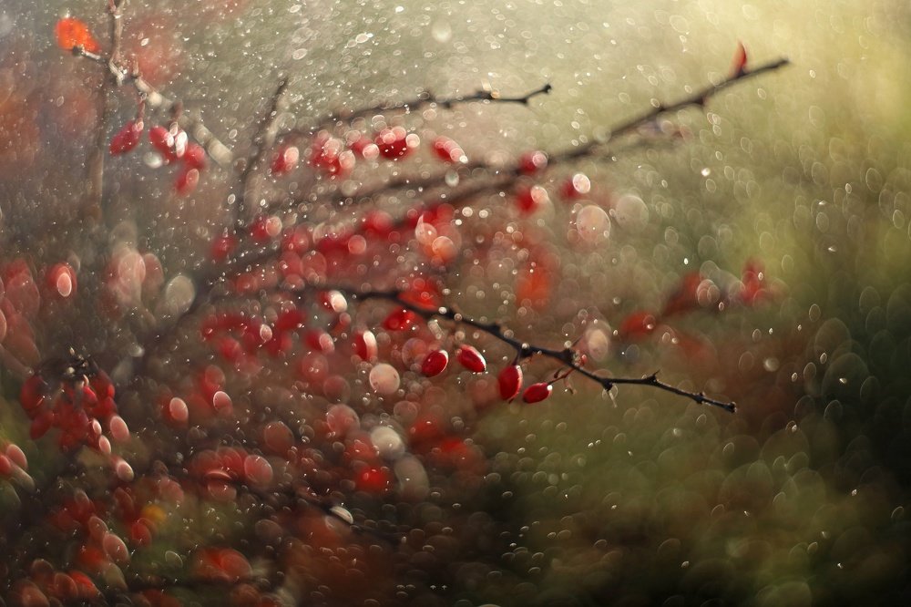 Осенний водоворот