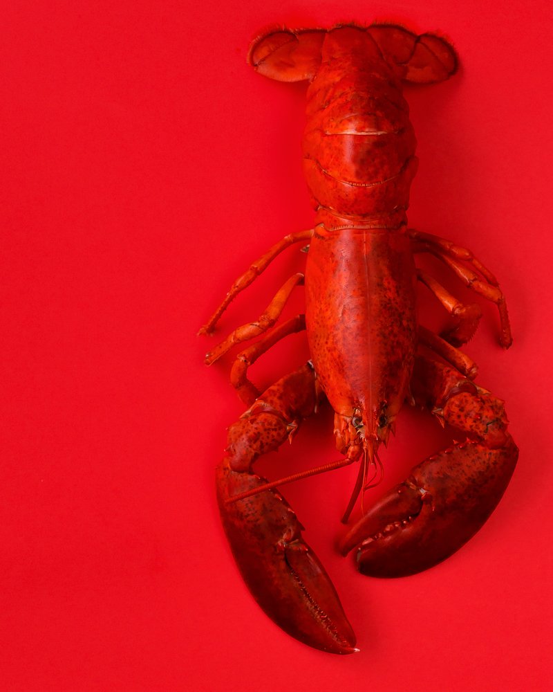 Photograph by Viktoria Buina