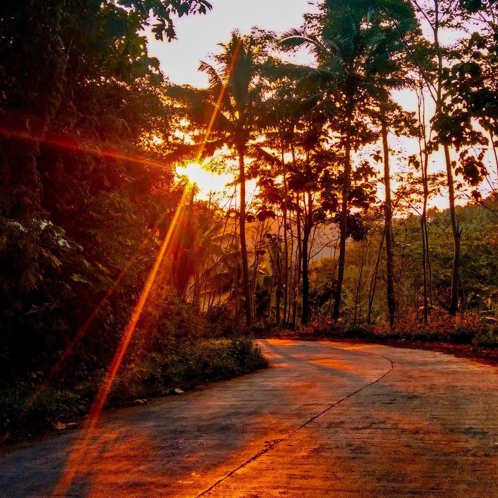 Photograph by Dominique Rojas
