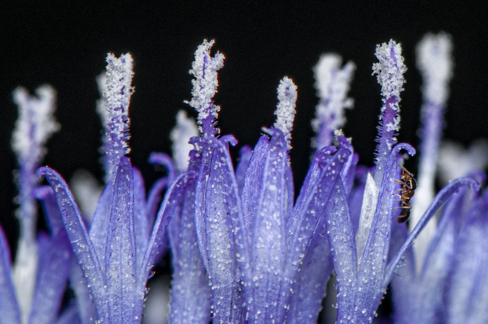 Photograph by Chamara Sulakkhana Polwatta Siriyalage