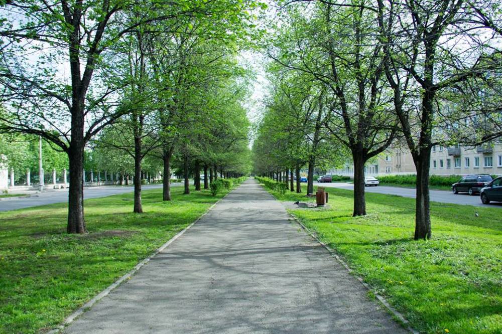 Photograph by Вадим Басов