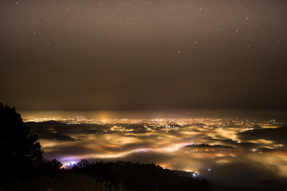 Photograph by phuong