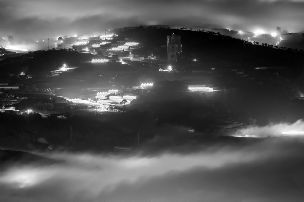 Photograph by phuong