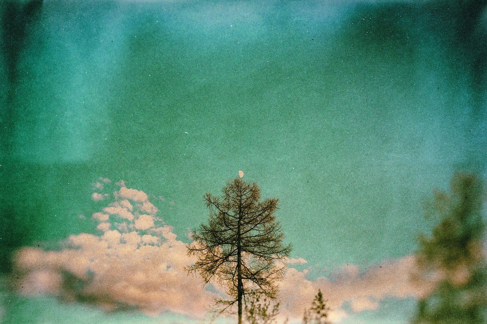 Photograph by Александр