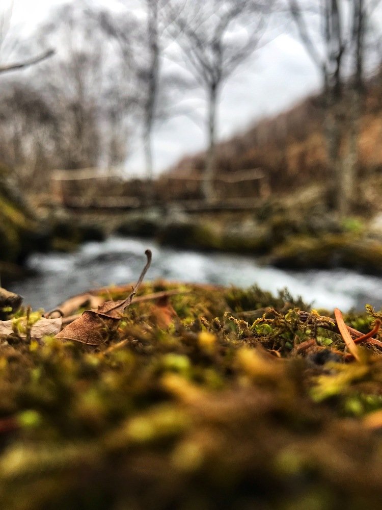 Photograph by Михаил Кондрухов