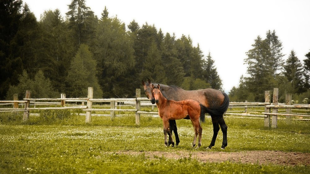 Photograph by Анастасия Глущенко
