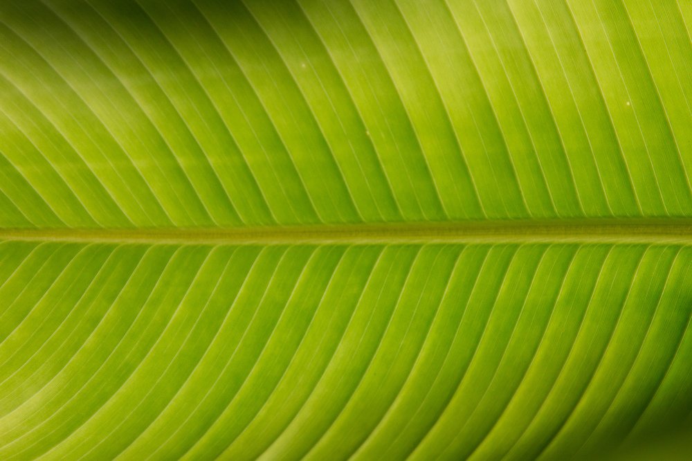 Photograph by Сергей Романченко