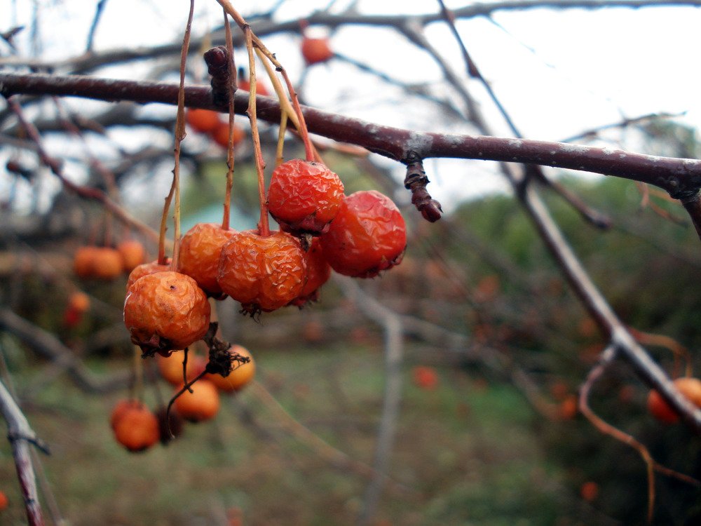 Photograph by Федоренко Элеонора
