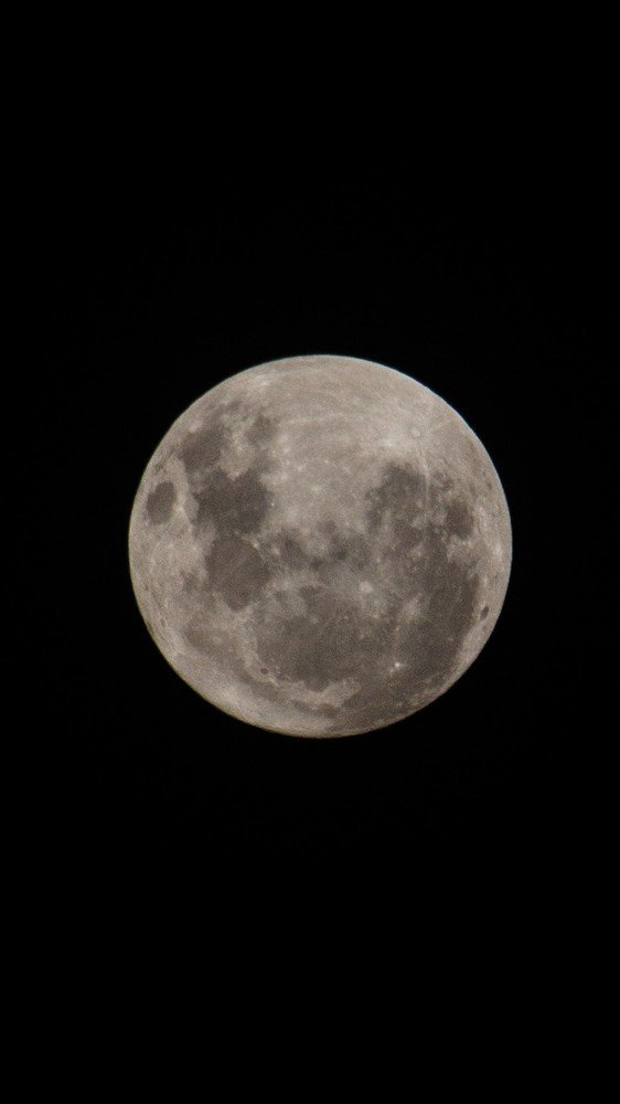 Photograph by Harisankar B