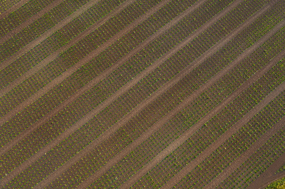 Photograph by Дмитрий Доронин