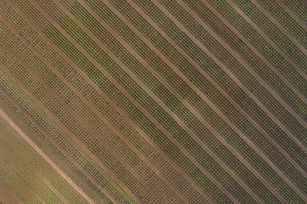 Photograph by Дмитрий Доронин