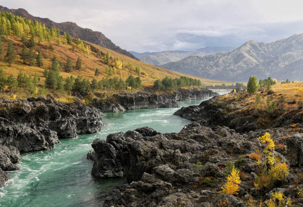 После дождя