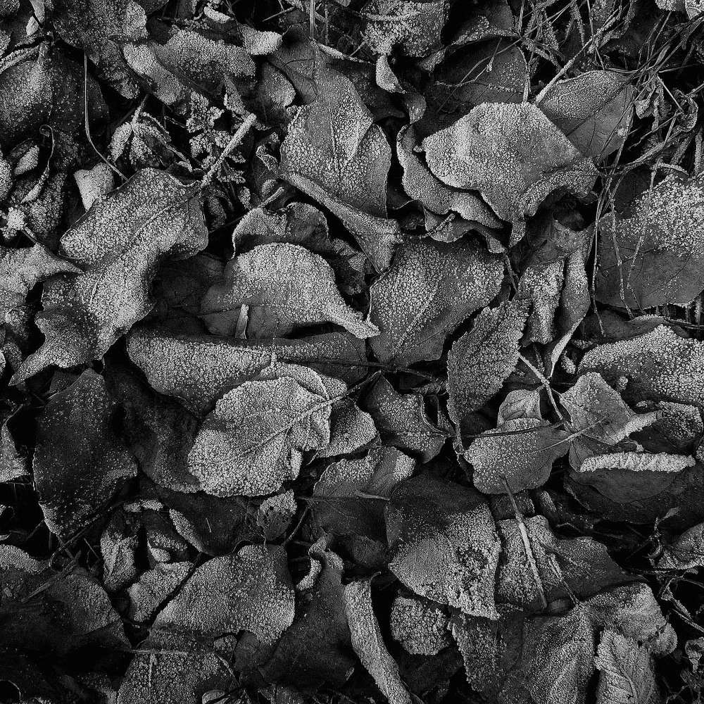 Photograph by Качурин Алексей