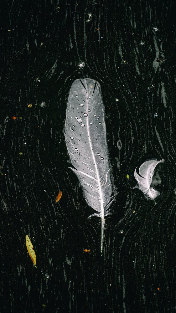 Photograph by Виталий Павлов