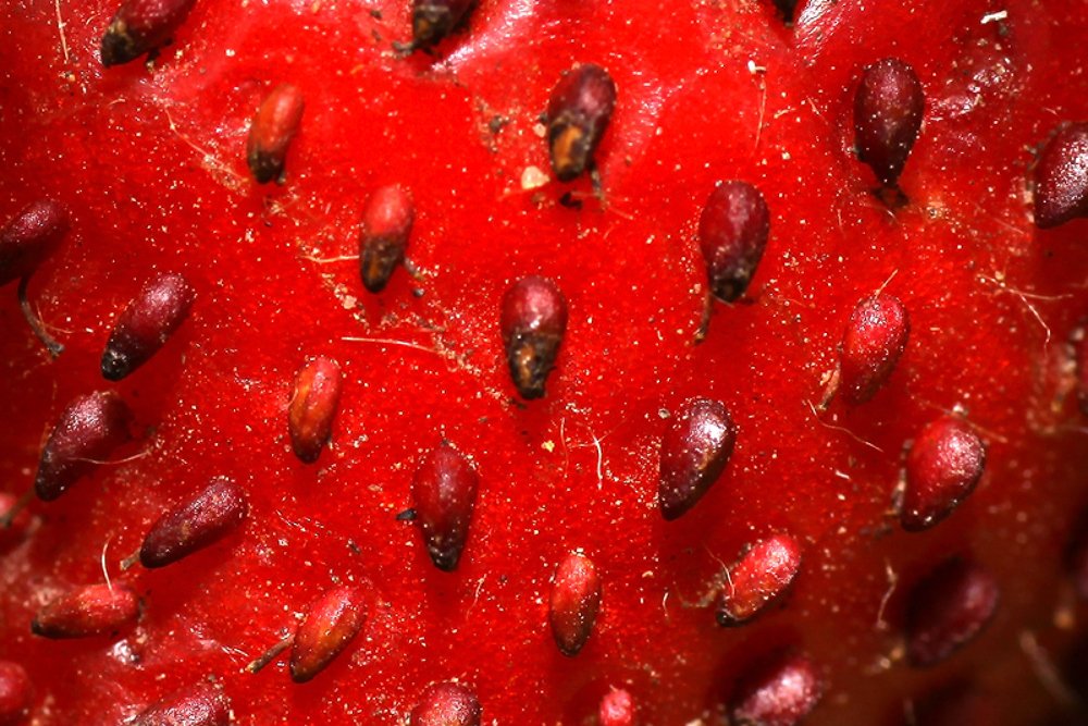 Photograph by Качурин Алексей