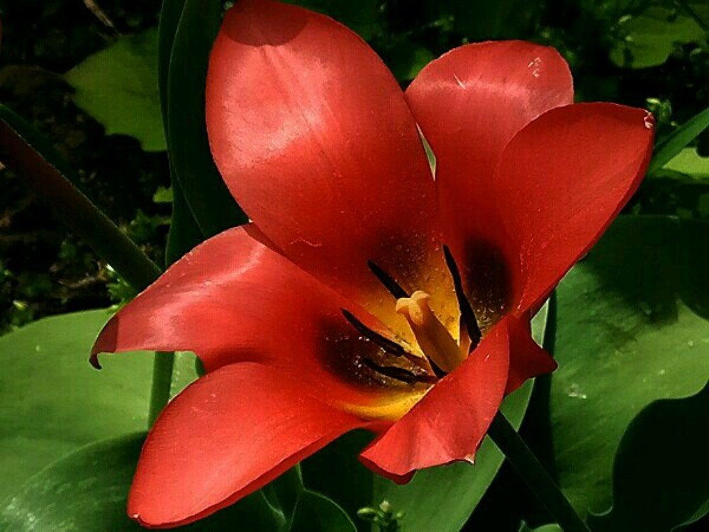 Photograph by Марина Гильмиярова