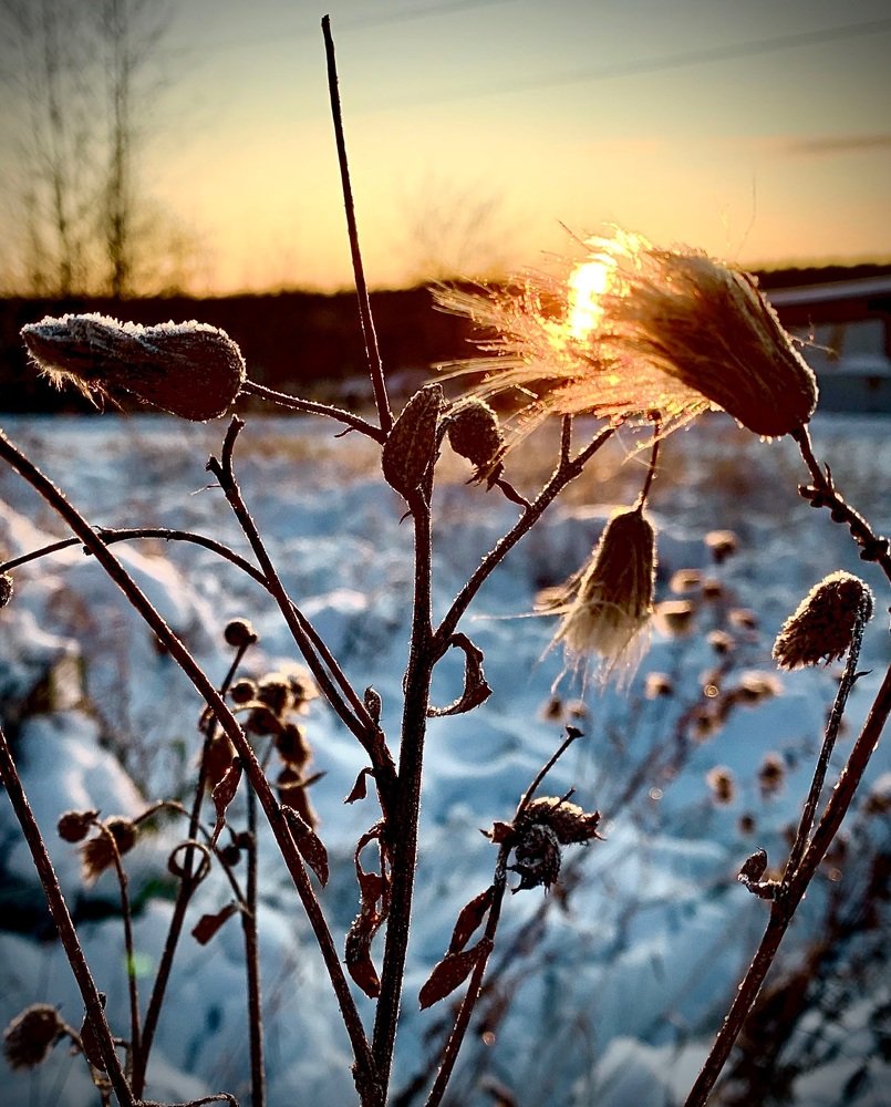 Photograph by Светлана Хохлова